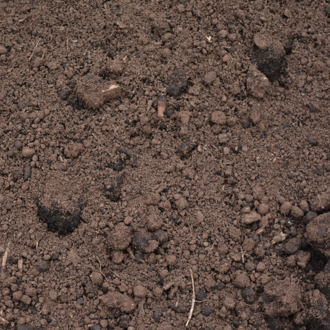 Garden Mix / Topdressing