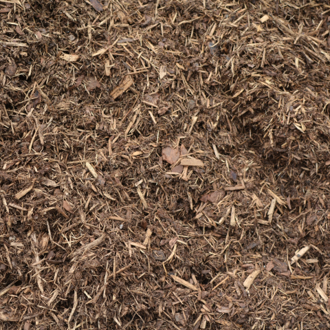 Classic Natural Cedar