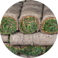 Sod (Grass) By The Roll