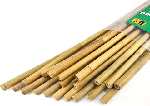 Bamboo Stake 6'