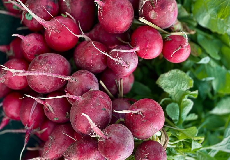 radishes